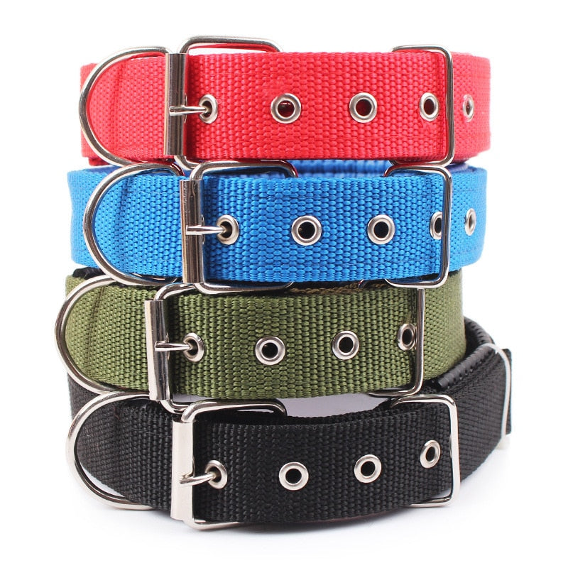 Wide dog collars on sale for small dogs