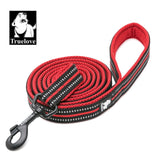 Soft Dog Pet Leash in Harness and Collar Reflective Nylon Mesh
